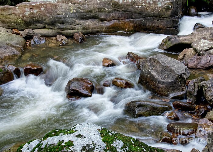 Cumberland Plateau Greeting Card featuring the photograph Richland Creek 15 by Phil Perkins