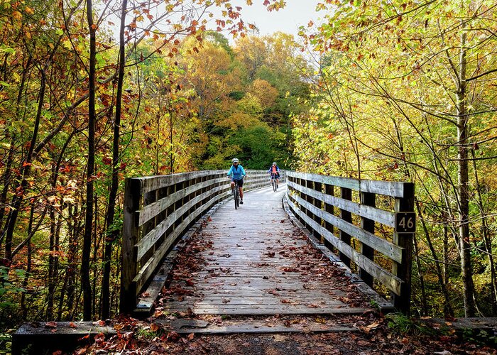 Fall Greeting Card featuring the photograph Riding the Creeper Trail in Autumn Damascus Virginia by Debra and Dave Vanderlaan