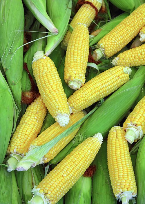 Corn Greeting Card featuring the photograph Ripe Corn - Food Background by Mikhail Kokhanchikov