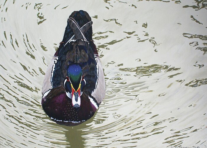 Woodduck Greeting Card featuring the painting Ripples by Heather E Harman