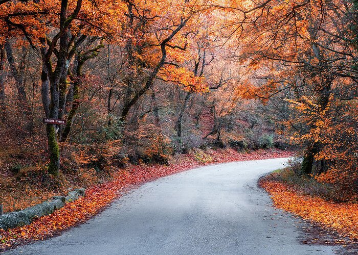 Foliage Greeting Card featuring the photograph Road in the Forest with Autumn Colors by Alexios Ntounas