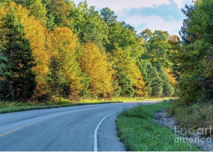Ozarks Greeting Card featuring the photograph Road Through Mark Twain National Forest by Jennifer White