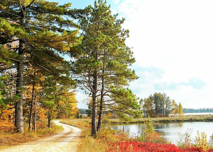 Seney National Wildlife Refuge Greeting Card featuring the photograph Road Through the Wildlife Refuge by Robert Carter