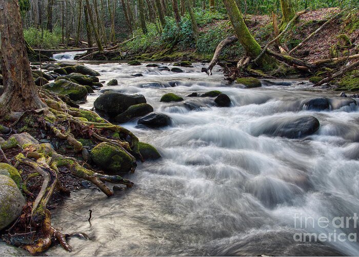 Smoky Mountains Greeting Card featuring the photograph Roadside Creek 2 by Phil Perkins