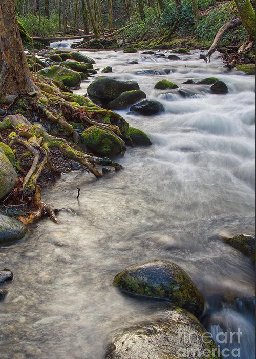  Greeting Card featuring the photograph Roadside Creek 3 by Phil Perkins