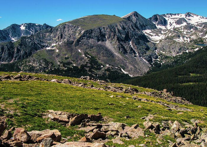 Alpine Greeting Card featuring the photograph Rock Cut Overlook 2 from Trail Ridge Road, Rocky Mountain National Park, Colorado by Tom Potter