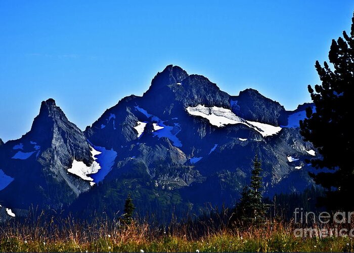 Cascades Greeting Card featuring the photograph Rocky Cascades Over a Meadow by Sea Change Vibes