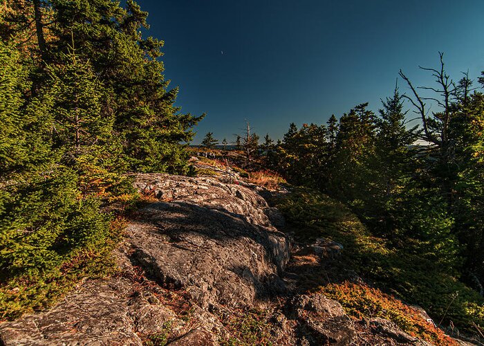 Acadia National Park Greeting Card featuring the photograph Rocky Trail by Paul Mangold