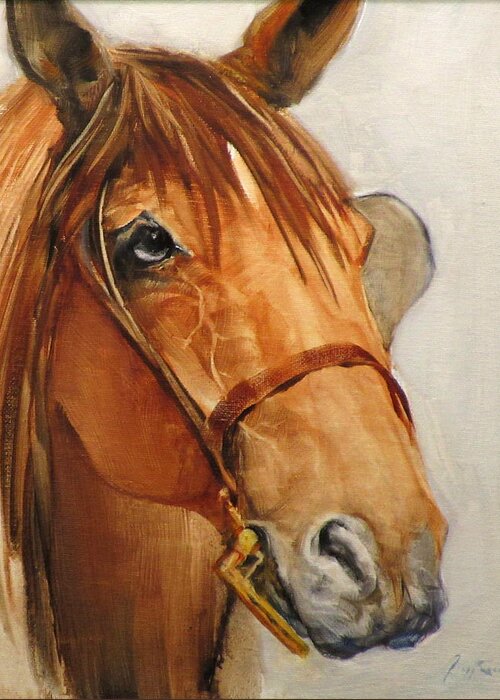 Horse Greeting Card featuring the painting Roman by Gregg Caudell