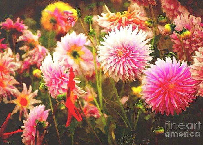 Dahlia Greeting Card featuring the photograph Romantic Pink Dahlia Garden by Sea Change Vibes