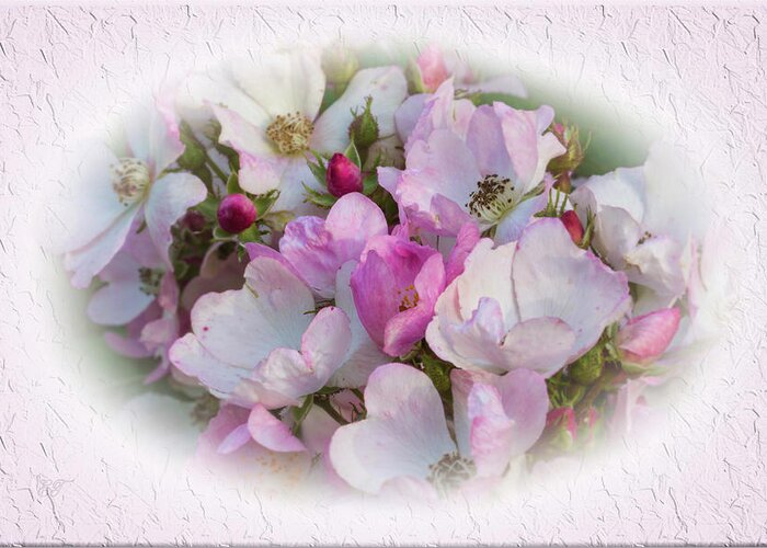 Flowers Greeting Card featuring the photograph Romantic Roses by Elaine Teague