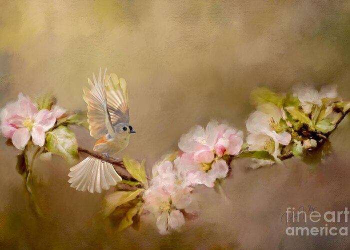 Bird Greeting Card featuring the mixed media Romantic Tufted Titmouse by Kathy Kelly