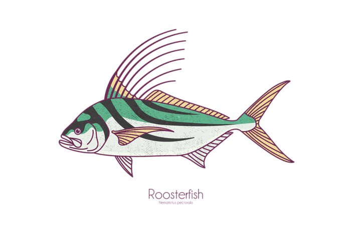 Roosterfsh Greeting Card featuring the digital art Roosterfish by Kevin Putman
