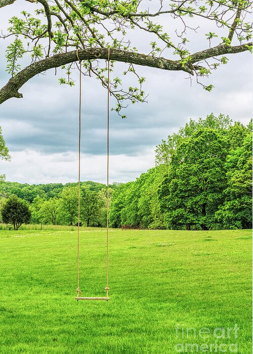 Swing Greeting Card featuring the photograph Rope Swing by Jennifer White