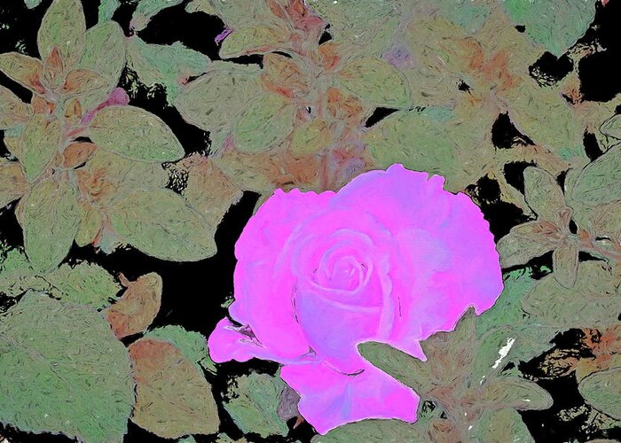 Floral Greeting Card featuring the photograph Rose 97 by Pamela Cooper