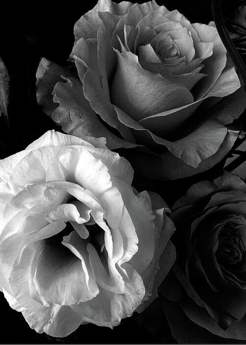 Roses Greeting Card featuring the photograph Roses in Black and White by Lorraine Devon Wilke