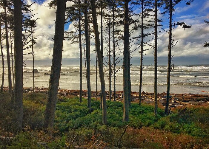 Seascape Greeting Card featuring the photograph Ruby Beach Surf by Jerry Abbott
