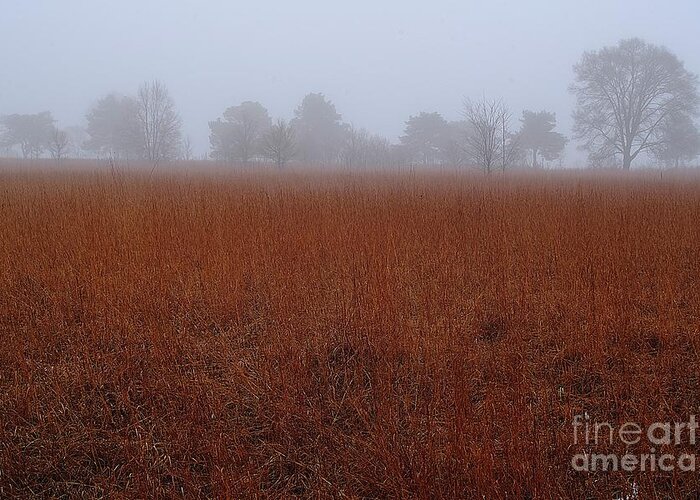 Field Greeting Card featuring the photograph Rural Field and Trees by Randy Pollard