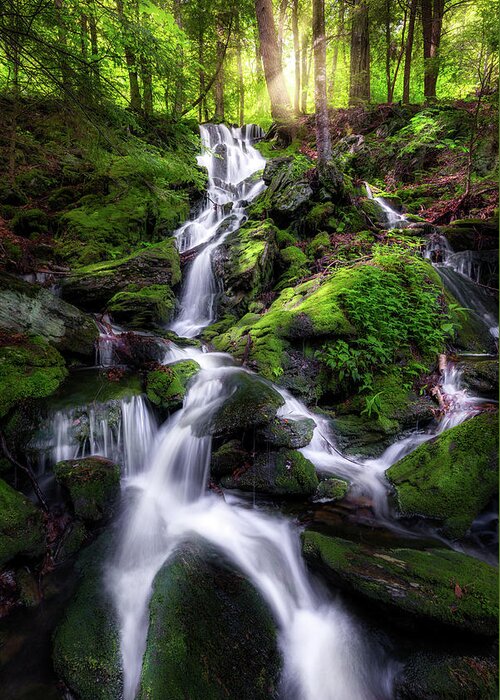 Appalachian Trail Greeting Card featuring the photograph Sages Ravine Waterfall by Bill Wakeley