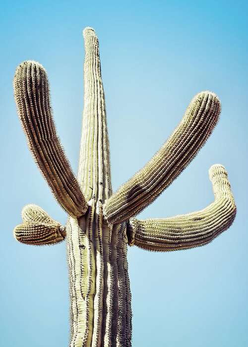Atmospheric Greeting Card featuring the photograph Saguaro #3 by Jennifer Wright