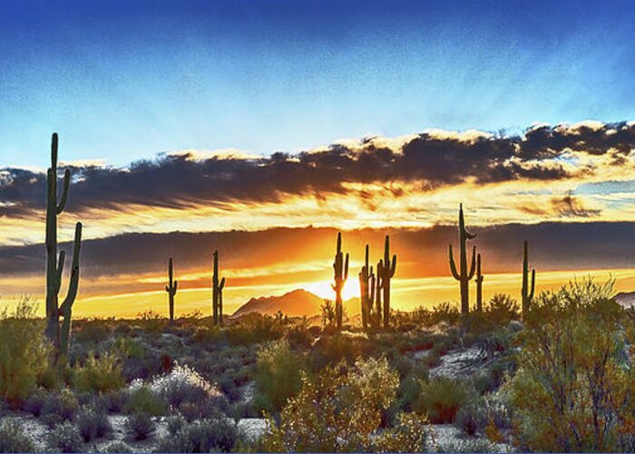 Arizona Greeting Card featuring the photograph Saguaro Sunrise Panorama, Arizona by Don Schimmel