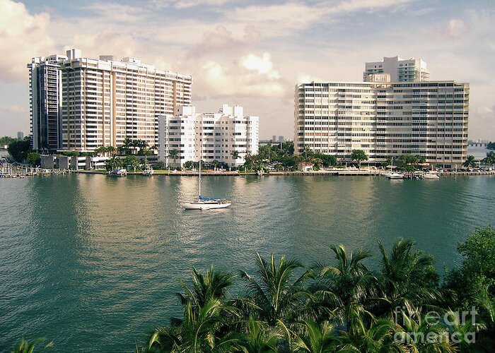 Miami Beach Greeting Card featuring the photograph Sailboat In Miami Beach Florida by Phil Perkins