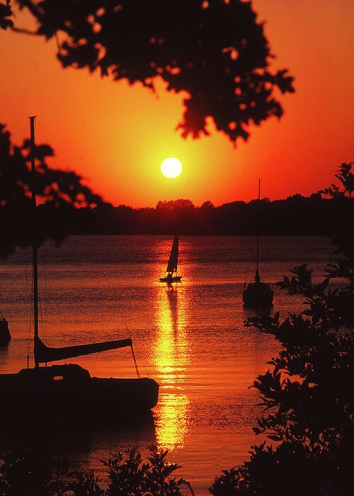 Fine Art Greeting Card featuring the photograph Sailing At Sunset by Robert Harris