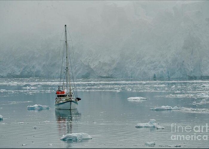Sailing In Antarctica Greeting Card featuring the photograph Sailing Under down under by Darcy Dietrich