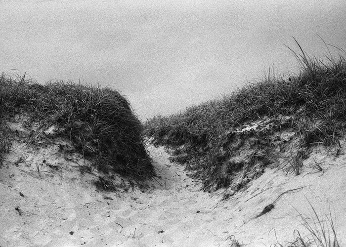 Island Beach State Park Greeting Card featuring the photograph Pathway Through Grass Covered Dune, 2018 by Stephen Russell Shilling