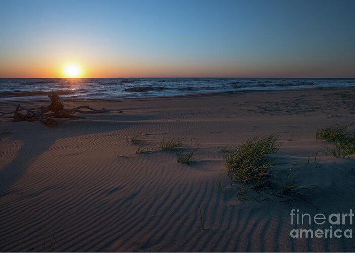 Sunrise Greeting Card featuring the photograph Sandbridge Beach Sunrise by Michael Ver Sprill