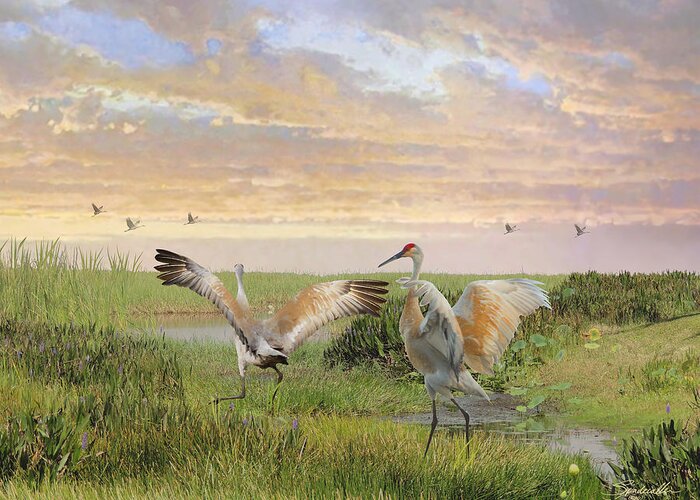 Birds Greeting Card featuring the photograph Sandhill Crane Courtship by M Spadecaller