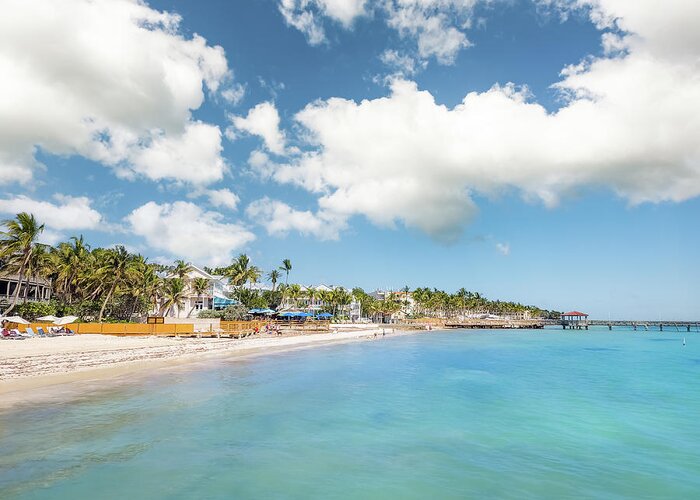 Key West Greeting Card featuring the photograph Sandy beach in Key West, Florida. by Mihai Andritoiu