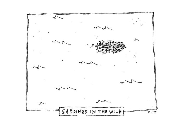 Captionless Greeting Card featuring the drawing Sardines in the Wild by Liana Finck