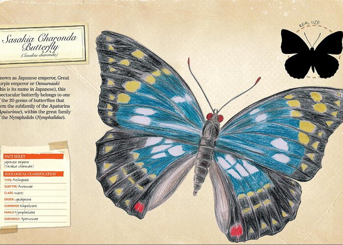 Childhood Greeting Card featuring the digital art Sasakia Charonda Butterfly by Album