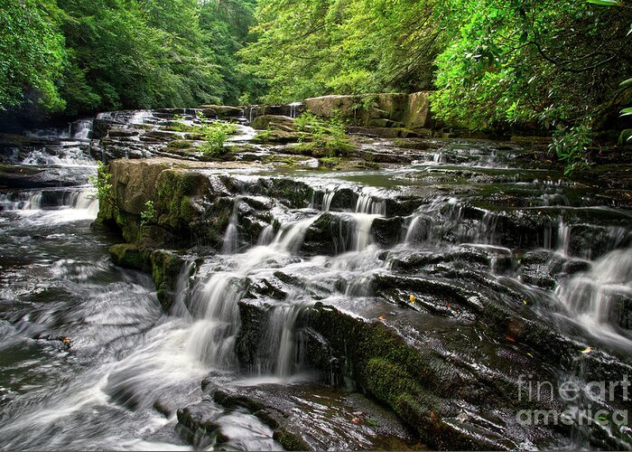 Savage Falls Greeting Card featuring the photograph Savage Falls 12 by Phil Perkins