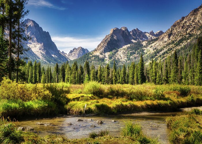 Mountain Greeting Card featuring the photograph Sawtooth Mountain Meadow by Dan Eskelson