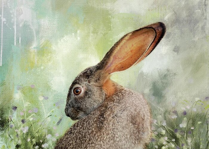 Scrub Hare Greeting Card featuring the photograph Scrub Hare3 by Eva Lechner