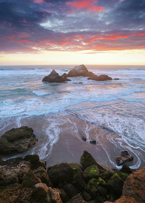  Greeting Card featuring the photograph Seal Rock Bliss by Louis Raphael