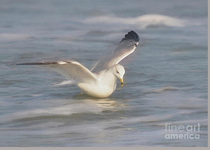 Birds Greeting Card featuring the photograph Self Image by Kathy Baccari