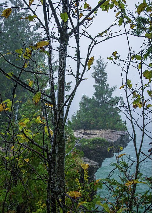 Cave Point Greeting Card featuring the photograph Sentinel Cedar at Cave Point and a droplet-bedazzled Spiderweb - Door County Wisconsin by Peter Herman