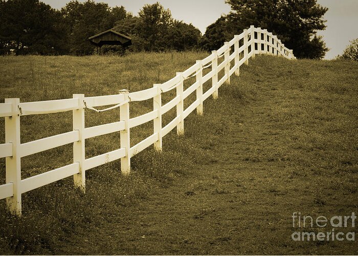 Paddock Greeting Card featuring the photograph Sepia Aged Fences 2 Rural Landscape Photograph by PIPA Fine Art - Simply Solid