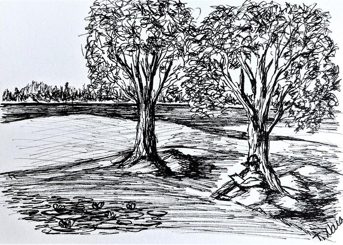 Black And White Greeting Card featuring the drawing Shade Trees by Tammy Nara