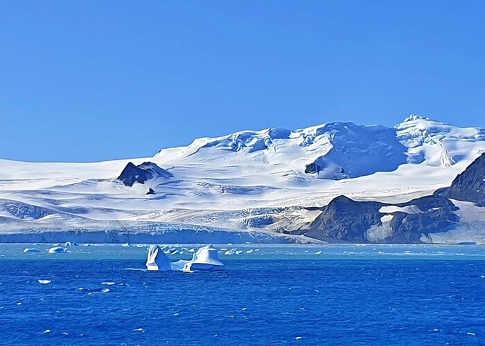 Antarctica Greeting Card featuring the photograph Shades of Icy Blue by Andrea Whitaker