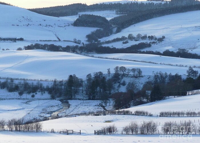 White Greeting Card featuring the photograph Shades of White - Rolling Hills by Phil Banks