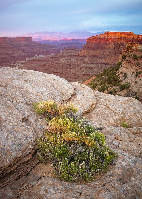Utah Greeting Card featuring the photograph Shafer Canyon Overlook by Whit Richardson