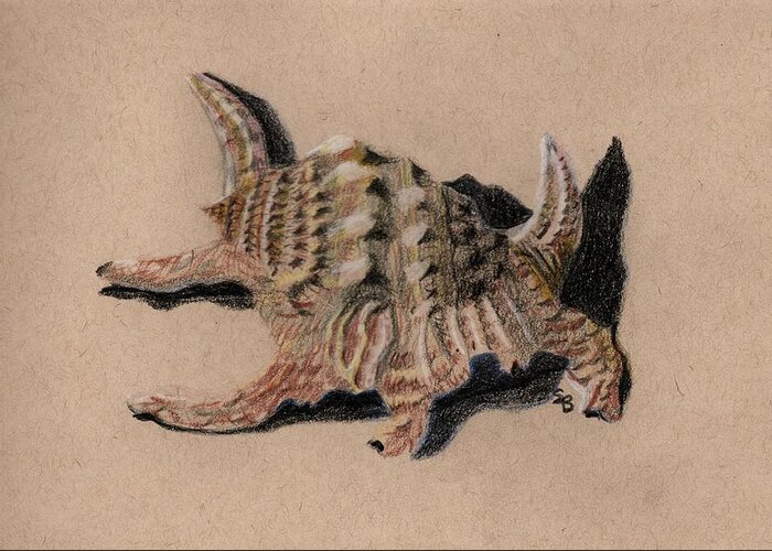 Shell Greeting Card featuring the drawing Shell Study 3e by Susan Bruner