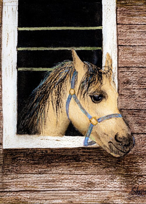 Art Awareness Light And Colour Greeting Card featuring the painting Sherazad the Horse Watercolor Art by Sher Nasser