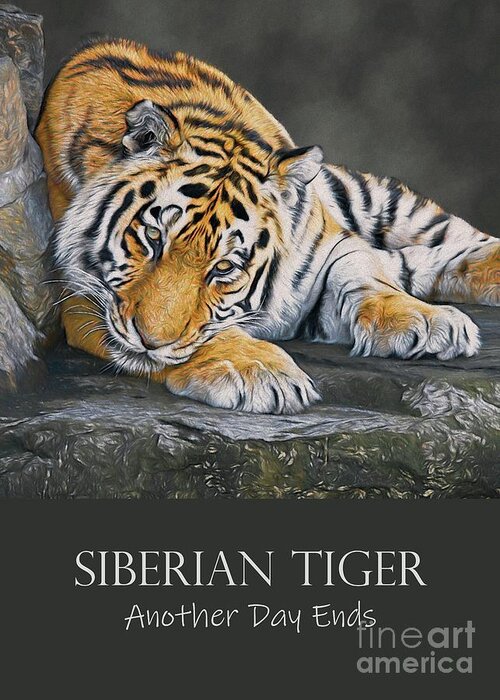 Tiger Greeting Card featuring the digital art Siberian Tiger - Another Day Ends by Philip Preston