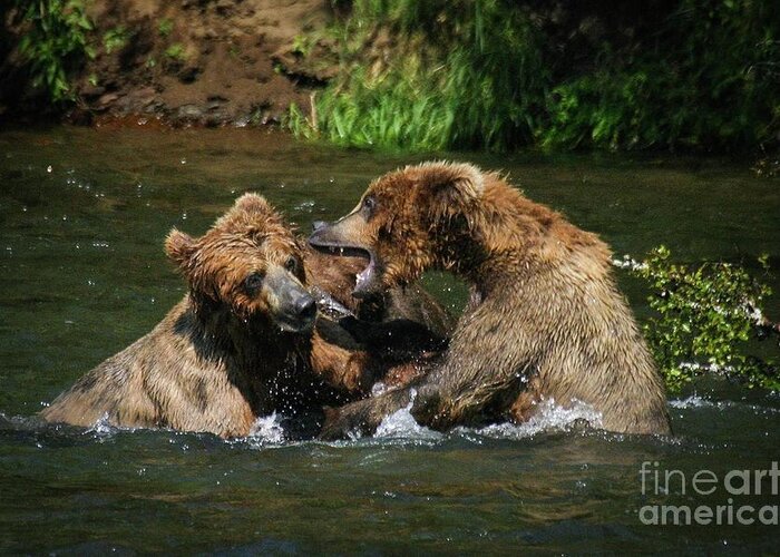Bear Greeting Card featuring the photograph Sibling feud by Ed Stokes