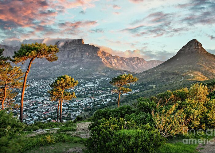 Cape Town Greeting Card featuring the photograph Signal Hill in Cape Town, South Africa by Delphimages Photo Creations